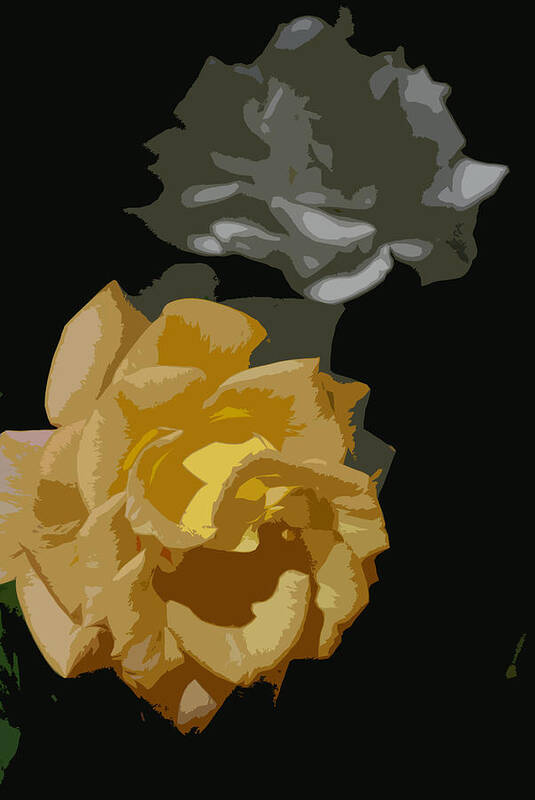 Earth's Flowers Art Print featuring the photograph Roses by Carol Eliassen