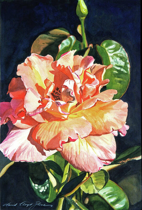 Roses Art Print featuring the painting Royal Rose by David Lloyd Glover