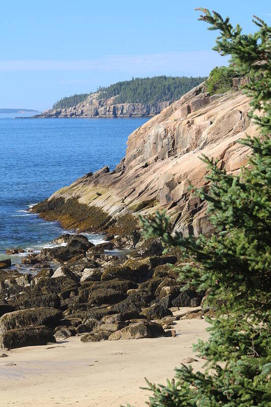 Acadia National Park Art Print featuring the photograph Rugged Coastline by Living Color Photography Lorraine Lynch