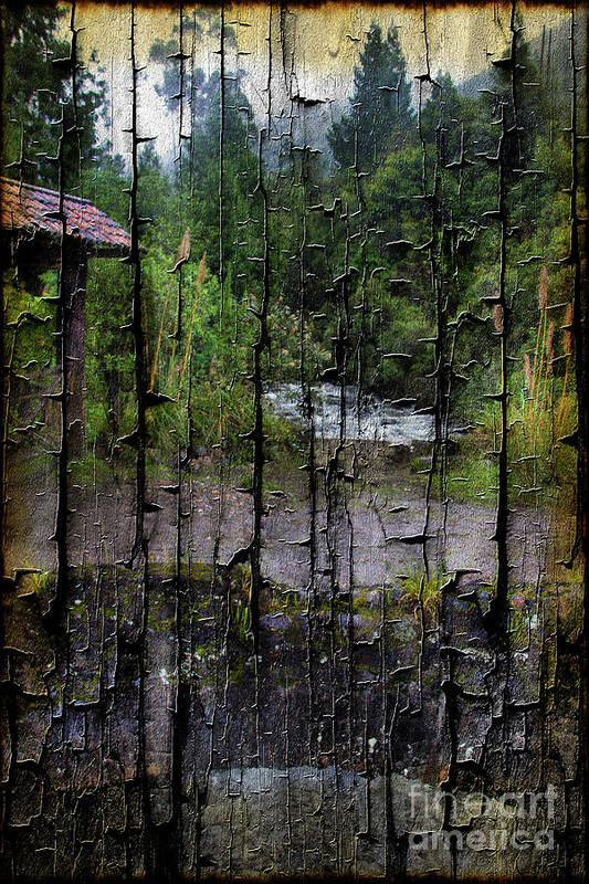Chorros Art Print featuring the photograph Rushing Cascade In The Andes - On Bark by Al Bourassa