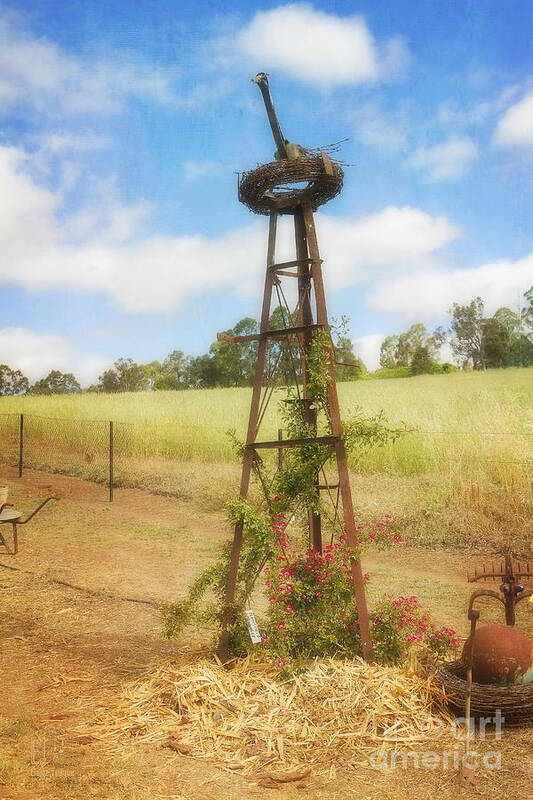 Folly Art Print featuring the photograph Rusty Garden Feature by Elaine Teague