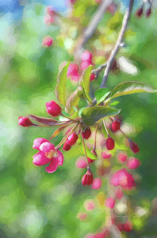 Sakura Art Print featuring the photograph Sakura Branch by Maria Angelica Maira