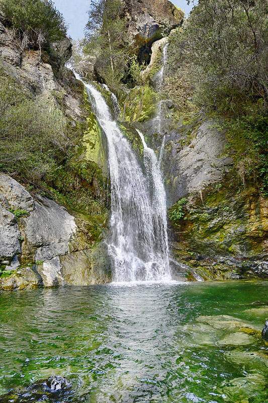 Waterfall Art Print featuring the photograph Salmon Creek Falls by Lynn Andrews