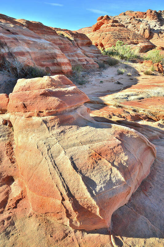 Valley Of Fire State Park Art Print featuring the photograph Sandstone Fireplug in Valley of Fire by Ray Mathis