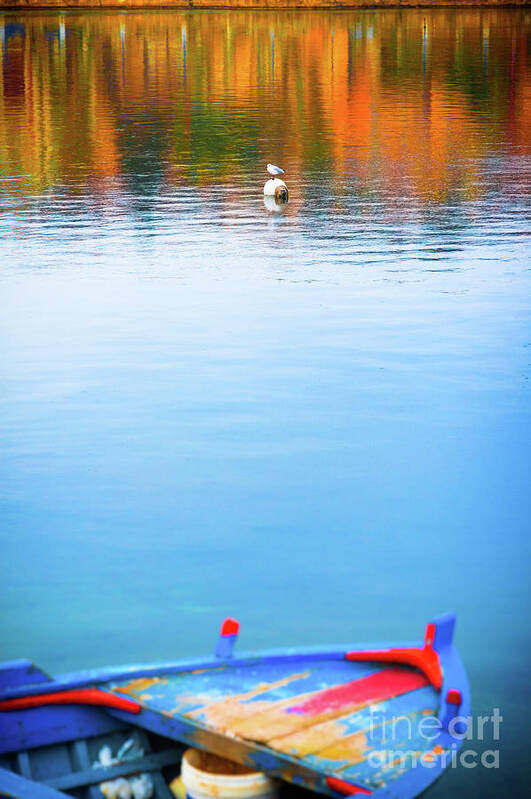 Autumn Art Print featuring the photograph Seagull and boat by Silvia Ganora