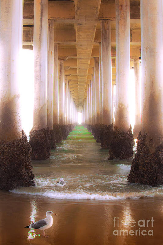 Seagull Under The Pier Ocean Beach Shoreline Waves Fine Art Photography Prints Art Print featuring the photograph Seagull Under The Pier by Jerry Cowart