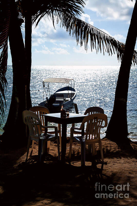 Ambergris Caye Art Print featuring the photograph Seaside Dining by Lawrence Burry