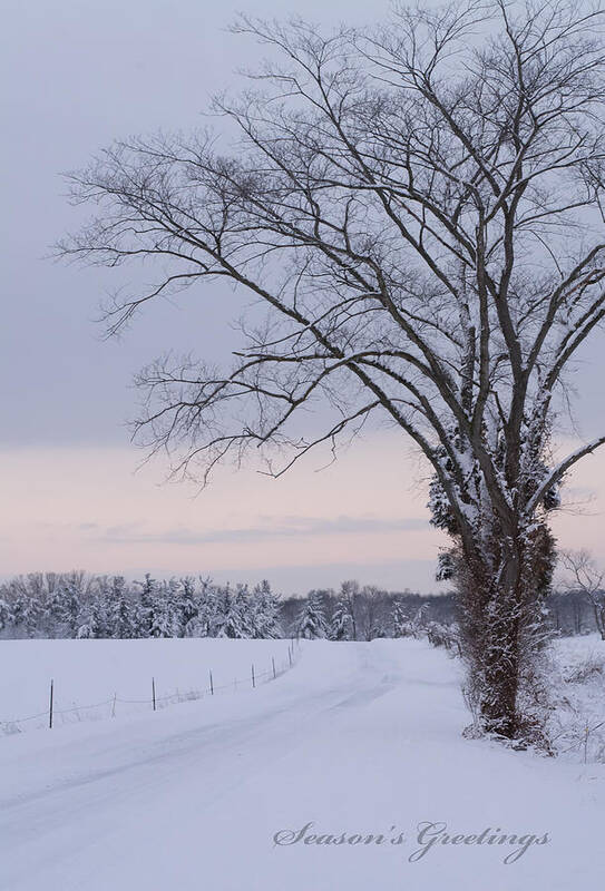 Season's Greetings Art Print featuring the photograph Season's Greetings- Country Road by Holden The Moment