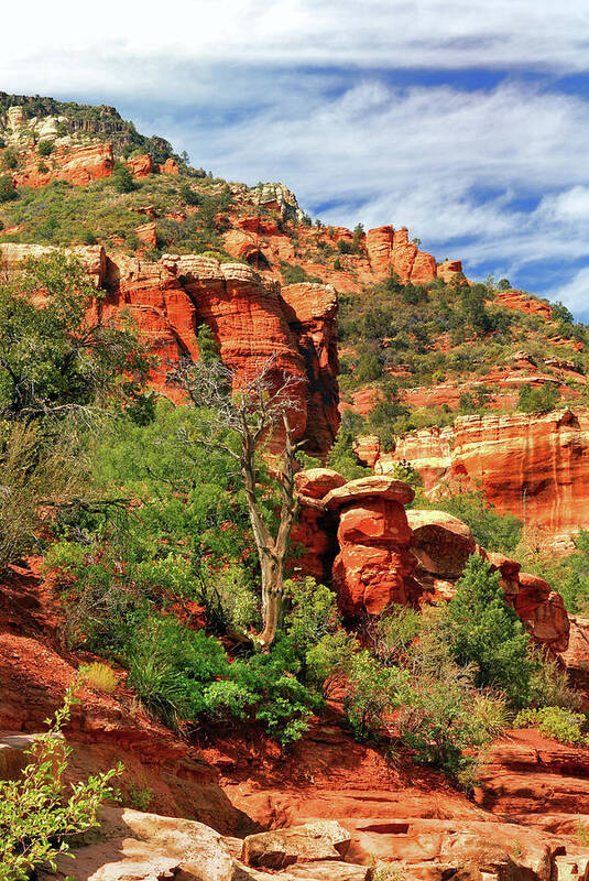Landscape Art Print featuring the photograph Sedona I by Ron Cline