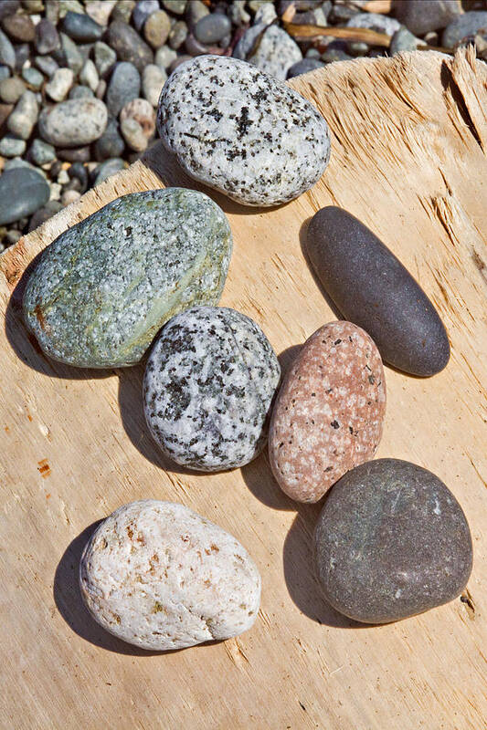 Stones Art Print featuring the photograph Seven Stones on a Log by Peter J Sucy