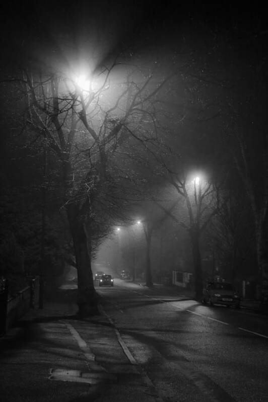 Fog Art Print featuring the photograph Street Noir by Dorit Fuhg