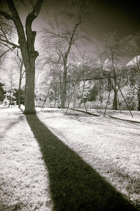 Shadow Shadows Swingset Swings Swing Set Play Ground Playground Park Public Outside Outdoors Nature Ir Infrared Infra Red Nanometer Brian Hale Brianhalephoto Hudson Ma Mass Massachusetts Sun Sky Trees Tree Art Print featuring the photograph Shadow of a Memory by Brian Hale