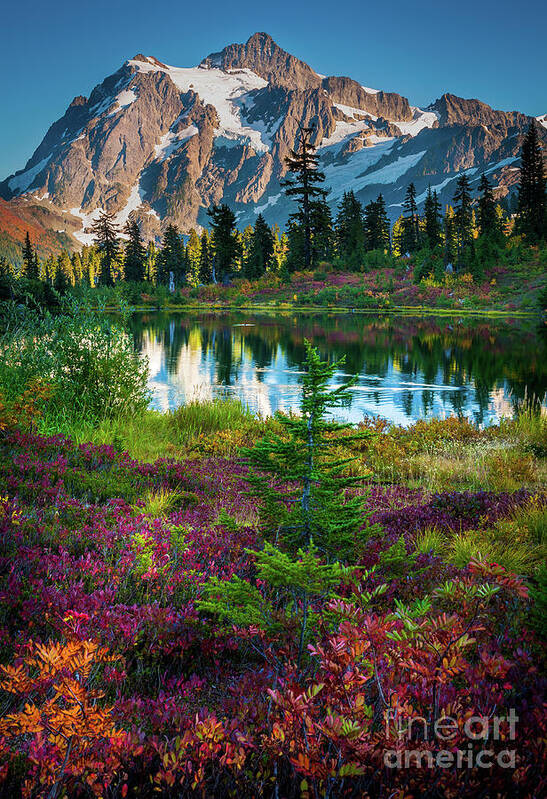 America Art Print featuring the photograph Shuksan Autumn by Inge Johnsson