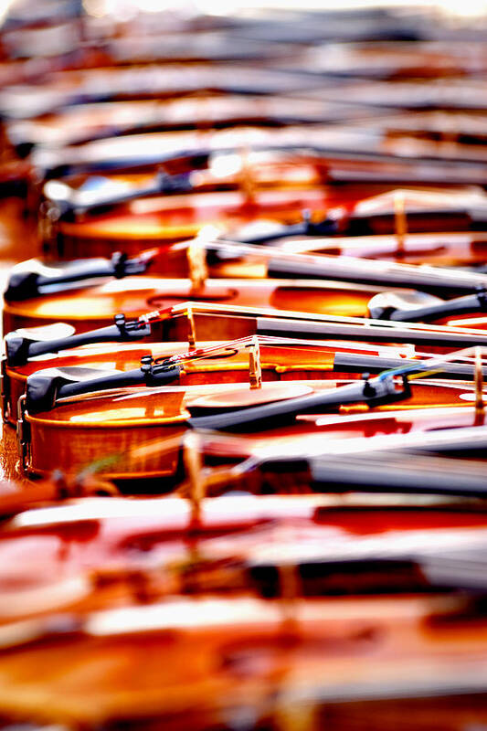 Violins Art Print featuring the photograph Silent Symphony by Greg Fortier