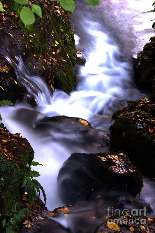 Water Art Print featuring the photograph Silky fall by Stephen Melia
