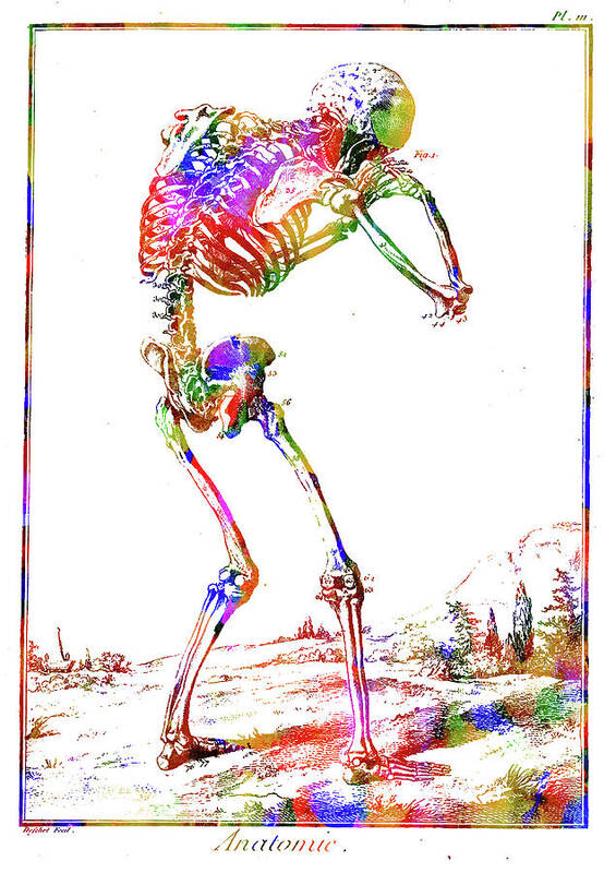 Skeleton Art Print featuring the mixed media Skeleton by Ann Leech
