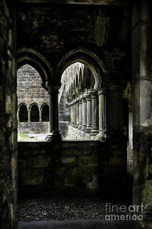 Ireland Art Print featuring the photograph Sligo Abbey interior by RicardMN Photography