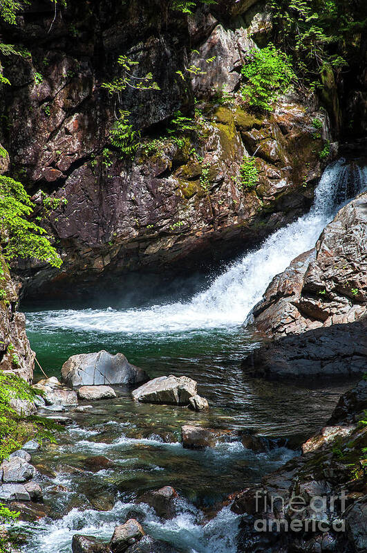 Cascade-mountains Art Print featuring the photograph Small Waterfall In Mountain Stream by Kirt Tisdale