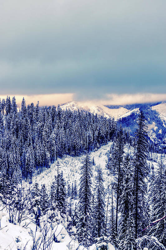 Idaho Art Print featuring the photograph Snow Covered Mountains by Lester Plank