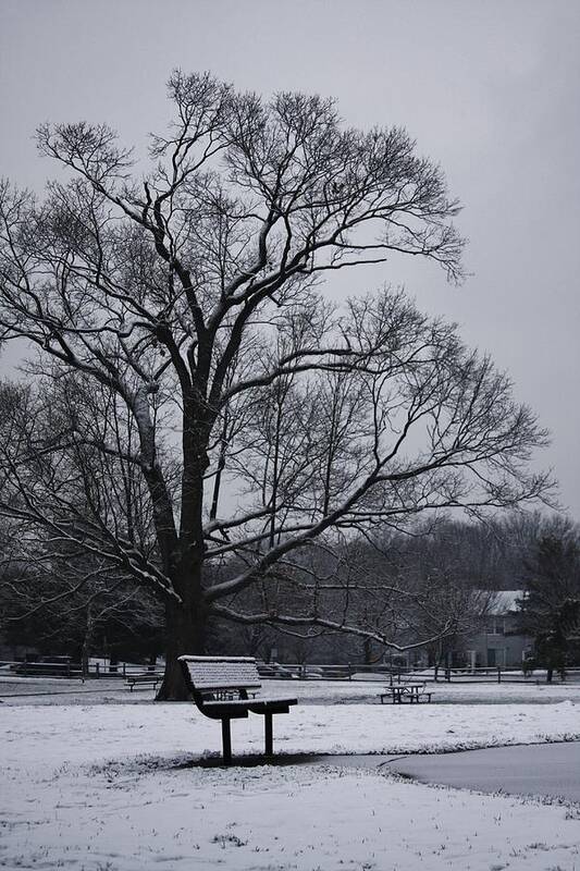East Brunswick Art Print featuring the photograph Snow in East Brunswick by Vadim Levin