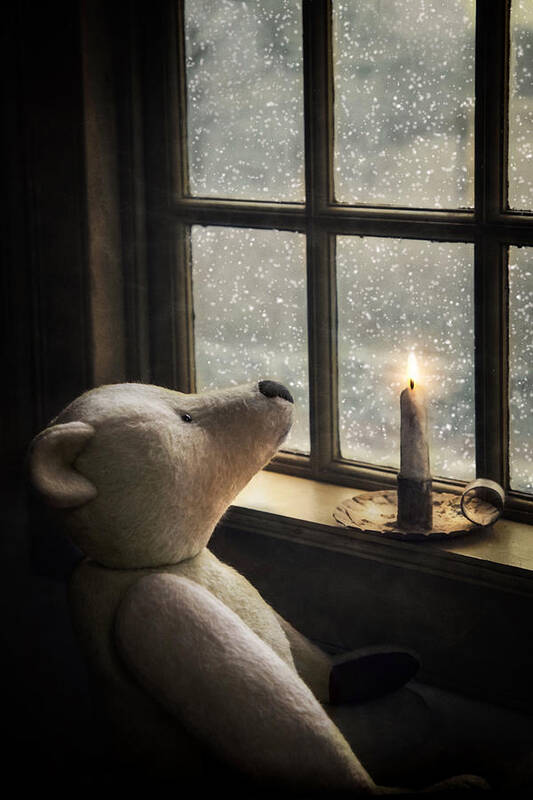 Bear Art Print featuring the photograph Snow Wonder by Robin-Lee Vieira