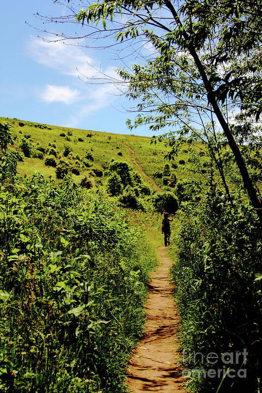 Max Patch Art Print featuring the photograph Sometimes We Walk Alone by Allen Nice-Webb