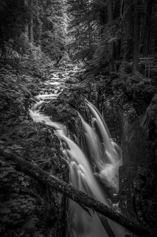 Art Art Print featuring the photograph Sound of Strength by Jon Glaser