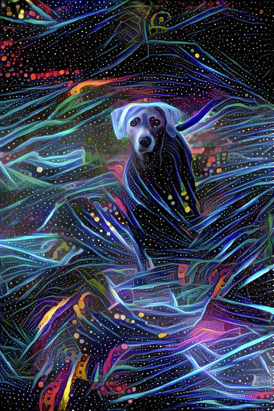 Lacy Dog Art Print featuring the digital art Spacey Lacy by Peggy Collins