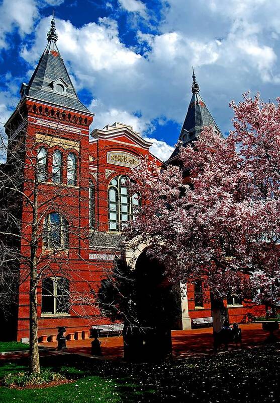 Spring Art Print featuring the photograph Spring in Washington DC by Bill Jonscher