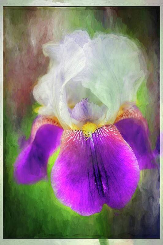 Flower Art Print featuring the photograph Spring is Near by Ches Black