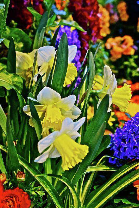 Spring Flowers Art Print featuring the photograph Spring Show 17 Happy Spring 4 by Janis Senungetuk