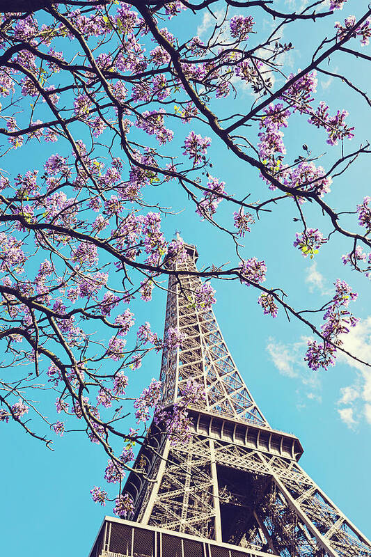 Paris Photography Art Print featuring the photograph Springtime in Paris - Eiffel Tower Photograph by Melanie Alexandra Price