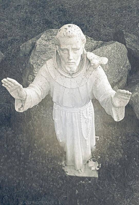 St. Francis Of Assisi Statue Art Print featuring the photograph St. Francis of Assisi Statue by Kathy Barney