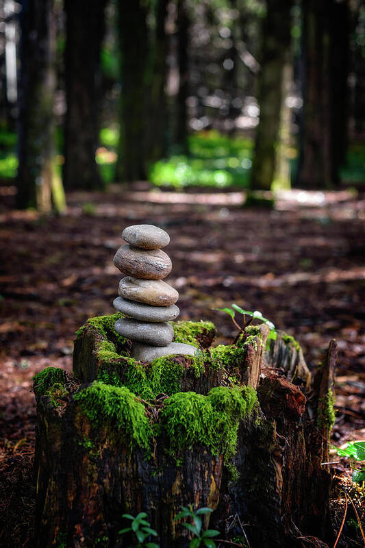 Mossy Forest Art Print featuring the photograph Stacked Stones And Fairy Tales III by Marco Oliveira