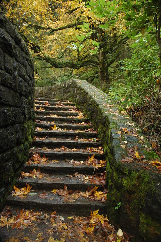 Fall Art Print featuring the photograph Stairway to Fall by Lori Mellen-Pagliaro