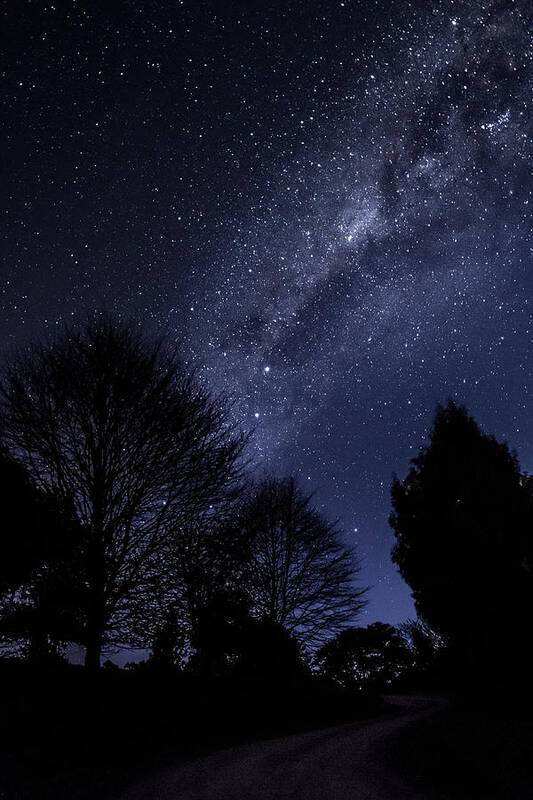 Night Art Print featuring the photograph Stars and trees by Martin Capek