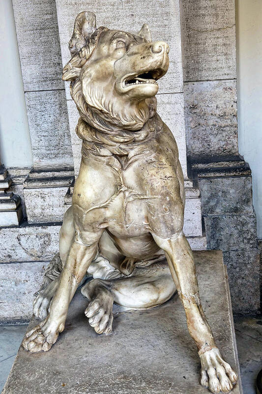 Vatican Art Print featuring the photograph Statue Of A Molossian Hound At The Vatican Museum by Rick Rosenshein