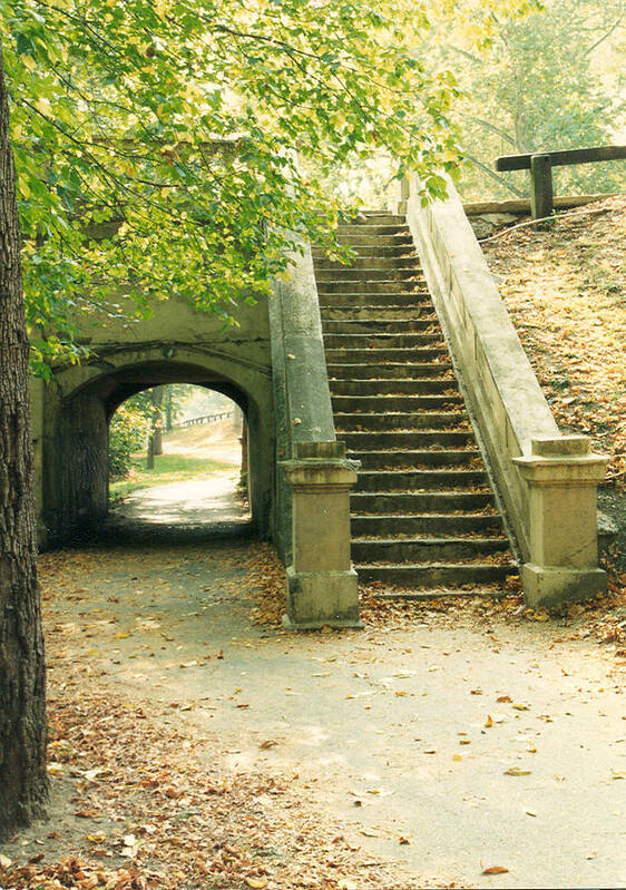 Brandwine Walk Art Print featuring the photograph Steps and Tunnel by Emery Graham