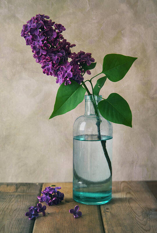 Lilac Art Print featuring the photograph Still life with fresh lilac by Jaroslaw Blaminsky
