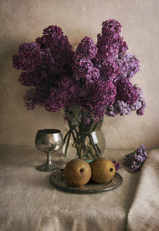 Still Life Art Print featuring the photograph Still life with pears and fresh lilac by Jaroslaw Blaminsky