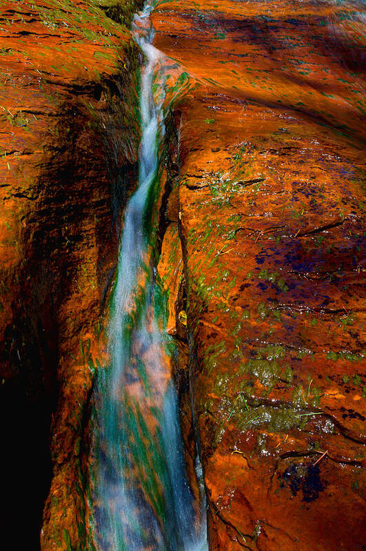 Outdoor Art Print featuring the photograph Subway's Fault by Chad Dutson