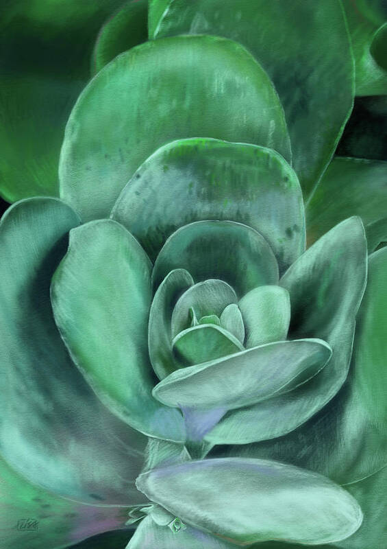 Digital Drawing Art Print featuring the drawing Succulent by Lisa Tennant