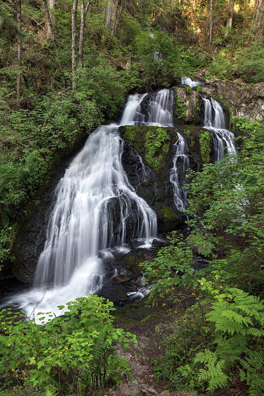 Waterfalls Art Print featuring the photograph Summer at Steelhead Falls by Michael Russell