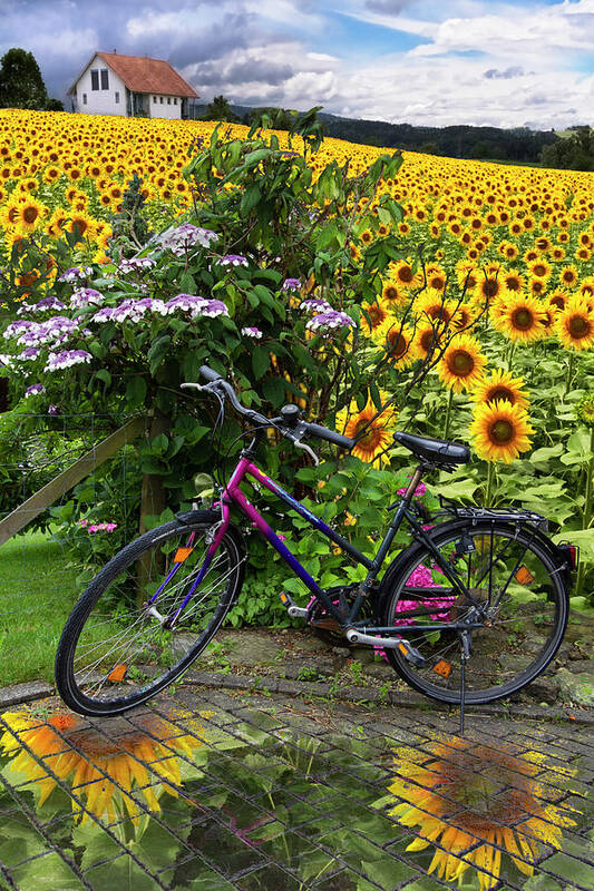 Austria Art Print featuring the photograph Summer Cycling by Debra and Dave Vanderlaan