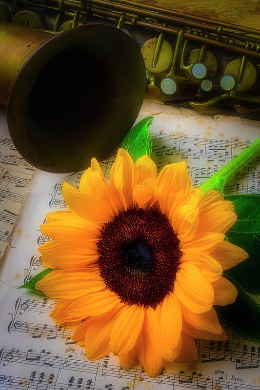 One Art Print featuring the photograph Sunflower And Saxophone by Garry Gay