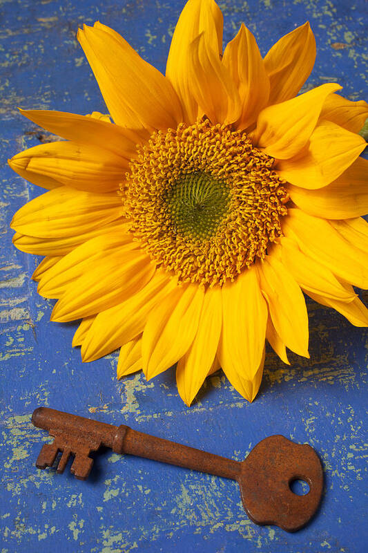 Sunflower Art Print featuring the photograph Sunflower and skeleton key by Garry Gay