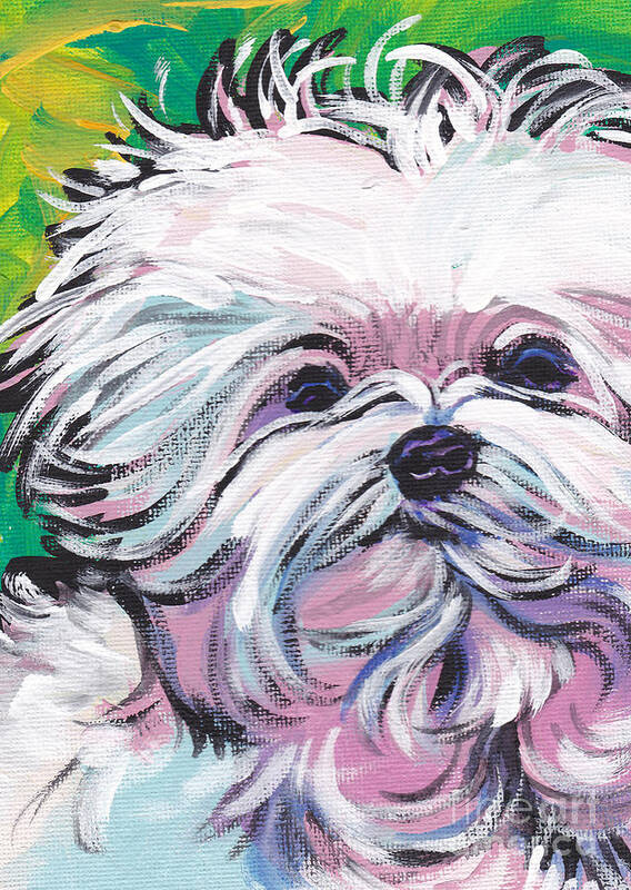 Maltese Art Print featuring the painting Sweet Maltese by Lea S