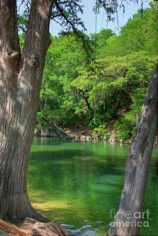 New Braunfels Art Print featuring the photograph Swinging River Rope by Kelly Wade