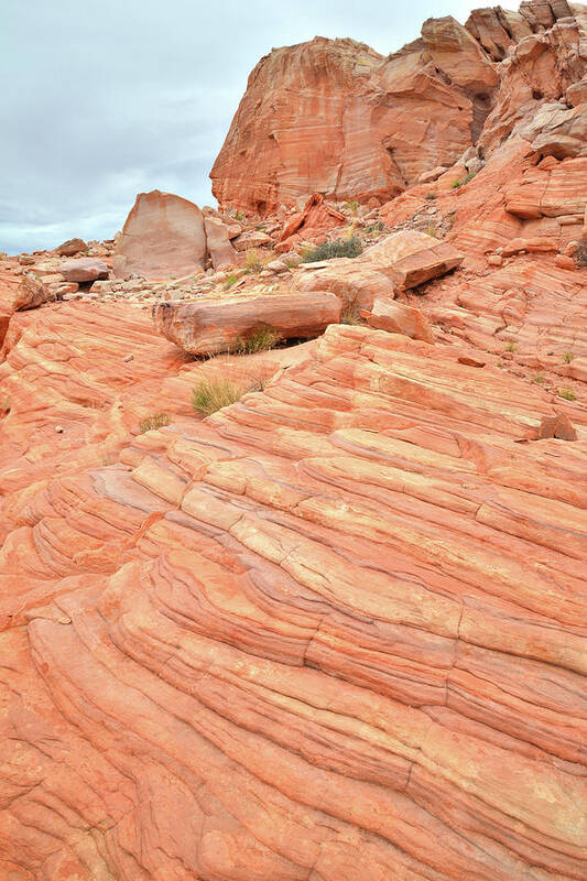 Valley Of Fire State Park Art Print featuring the photograph Swirling Sandstone Color in Valley of Fire by Ray Mathis