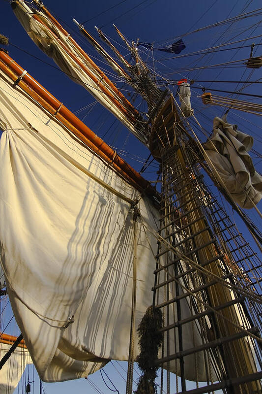 Tall Ship Art Print featuring the photograph Tall Ship sails by Sven Brogren